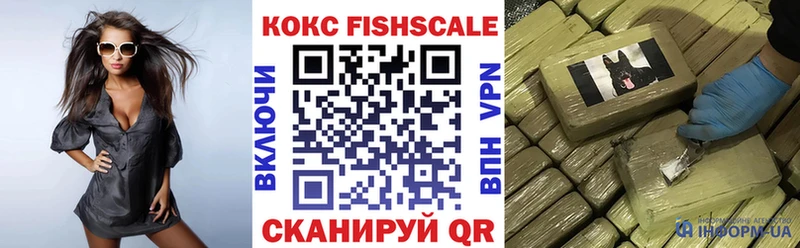 COCAIN Fish Scale  Купить закладки  Искитим 