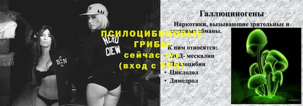 меф Заводоуковск