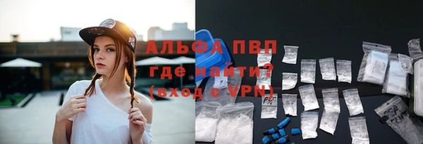 стафф Зеленокумск