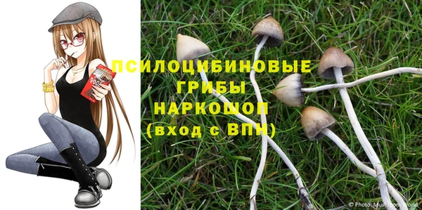 меф Заводоуковск